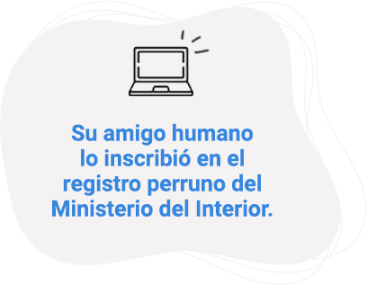 Su amigo humano lo inscribió en el registro perruno del Ministerio del Interior.