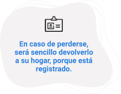 En caso de perderse, será sencillo devolverlo a su hogar, porque está registrado.