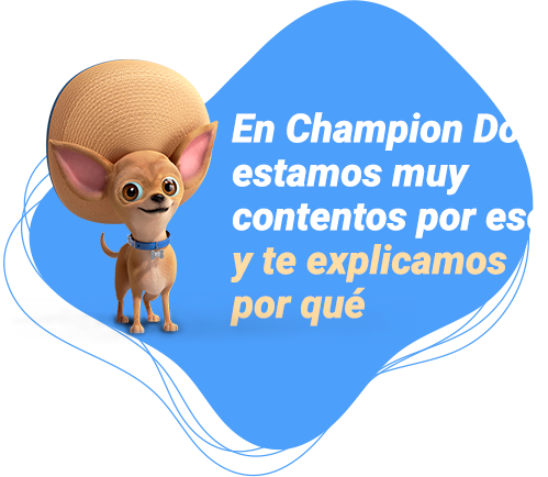 En Champion Dog estamos muy contentos por eso y te explicamos por qué