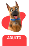 Adulto