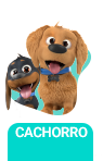 Cachorro