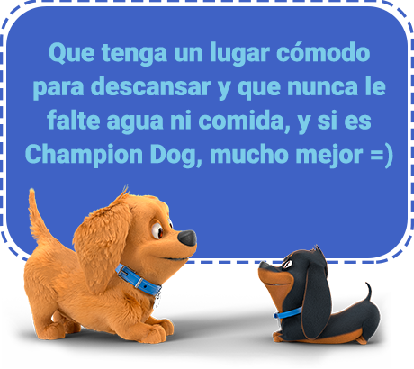 Que tenga un lugar cómodo para descansar y que nunca le falte agua ni comida, y si es Champion Dog, mucho mejor =)