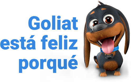 Goliat está feliz porqué