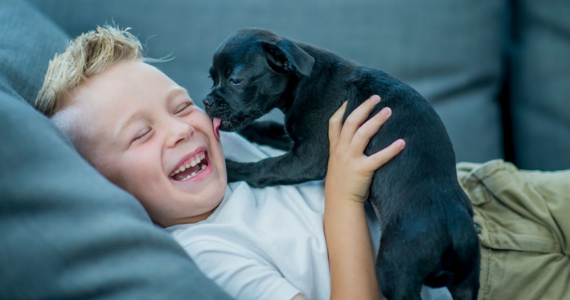 Beneficios del vínculo entre niños y perros