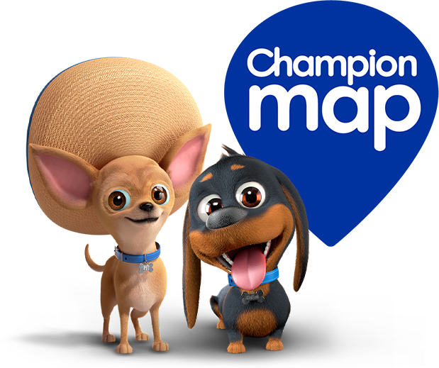 Champion map