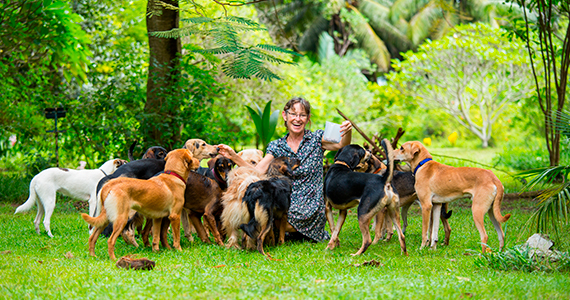 Control reproductivo en perros: distintas alternativas, pros y contras