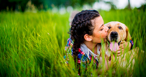 Cuidados especiales para perros grandes