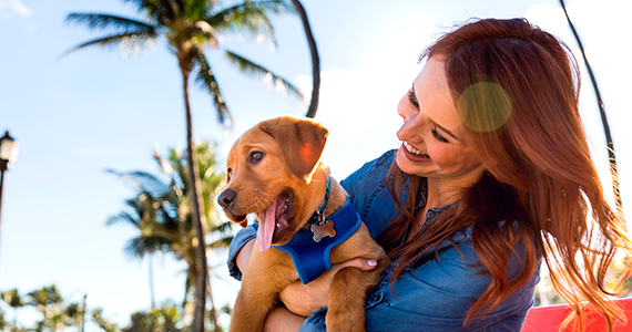 ¿Cuáles son los nombres de perro más comunes en Chile?