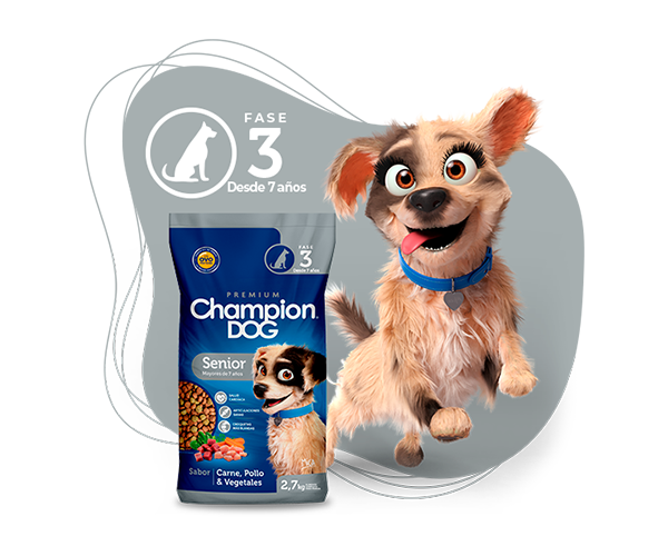 champion dog senior