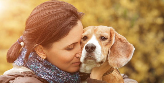 Consejos para abordar situaciones de crisis que pueden afectar a los perros