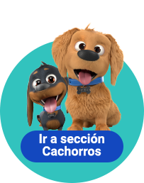 Alimento Cachorros