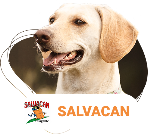 Salvacan