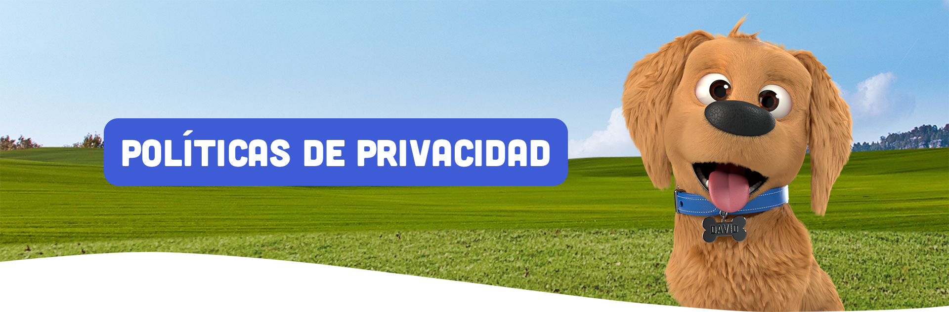 Políticas de Privacidad